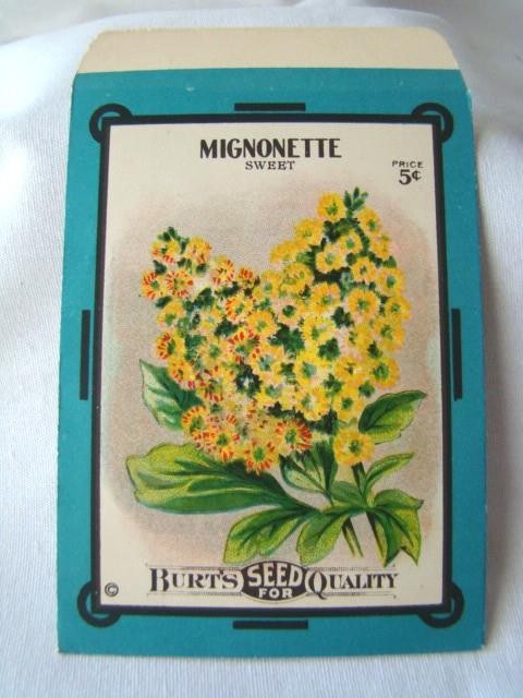 Antique MIGNONETTE ‘BURT’S SEED’ Flower Seed PACKET, Country Store, Unused