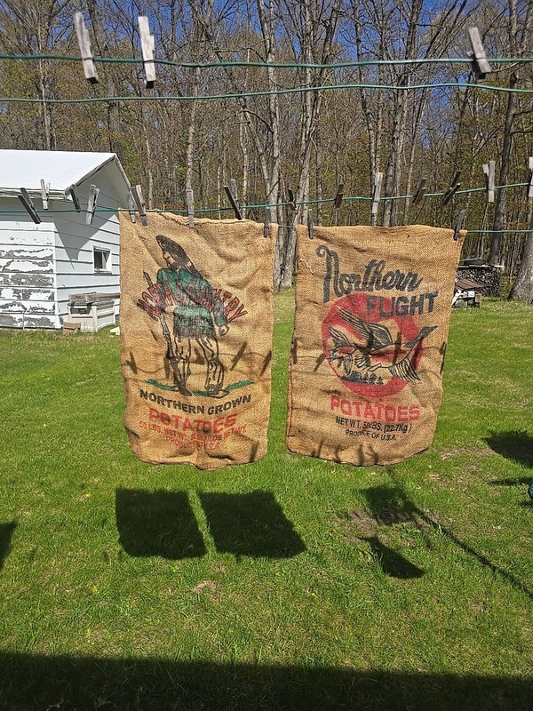 2 Vintage 50 Lbs Burlap Bags Northern Flight & North Country Potato Gunny Sacks
