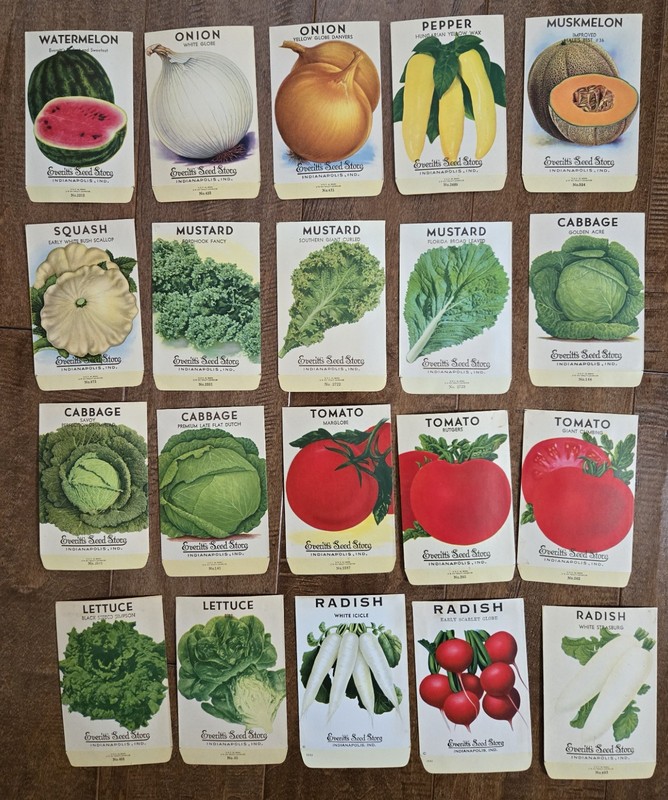 Set of 20 Different Everitt’s Seed Store Seed Packets, Vintage, no seeds c08