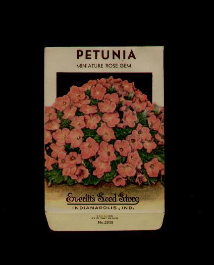 1930’s PETUNIA ROSE GEM LITHO SEED PACKET- EVERITT’S SEED, INDIANAPOLIS,IND