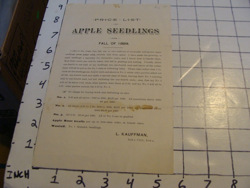 Vintage paper: 1889 APPLE SEEDLINGS price list 1889 L. KAUFMAN iowa city Iowa