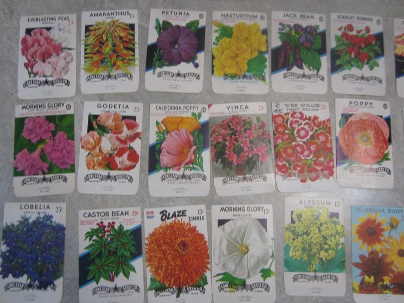 Lot of 40 Old Vintage 1960's - FLOWER SEED PACKETS - Lone Star - EMPTY gallery