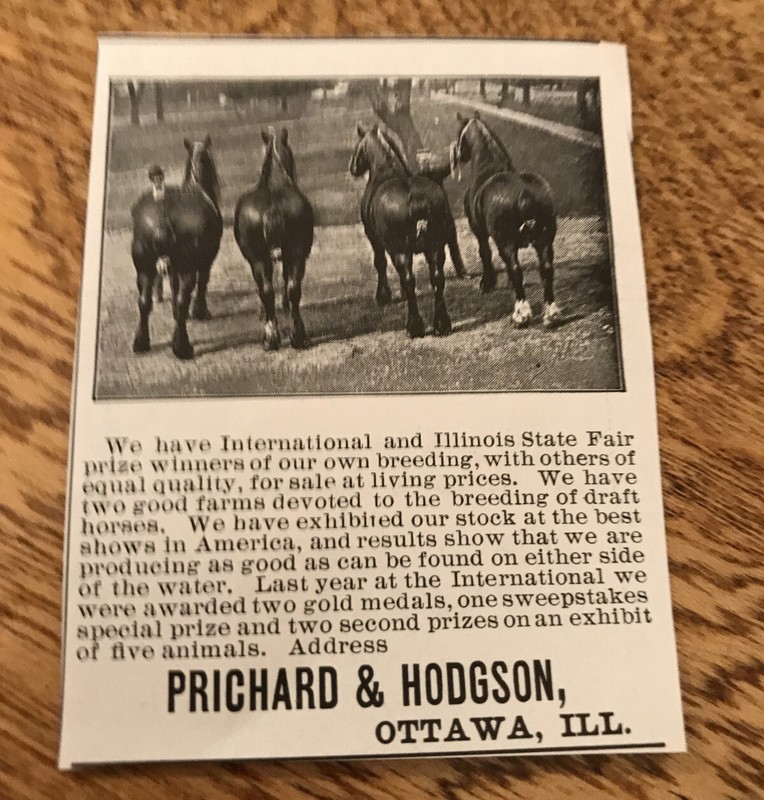 1903 Prichard & Hodgson Horse Advertising – Ottawa – Illinois
