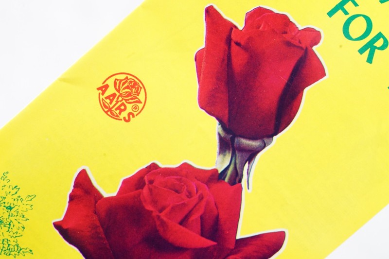Roses are for You All-America Rose Selections Iowa Agricultural Vintage Brochure gallery