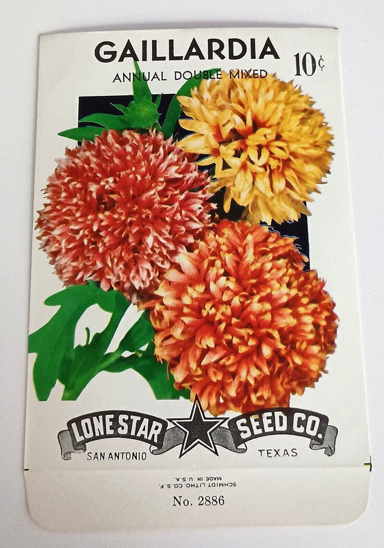 Gaillarda Flower Lone Star Co. Seed Litho Packet NOS New 1950s San Antonio TX