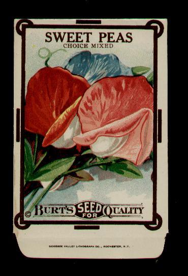 1910’s BURT’S SWEET PEAS – LITHO. ANTIQUE SEED PACKET ~L@@K~ RARE