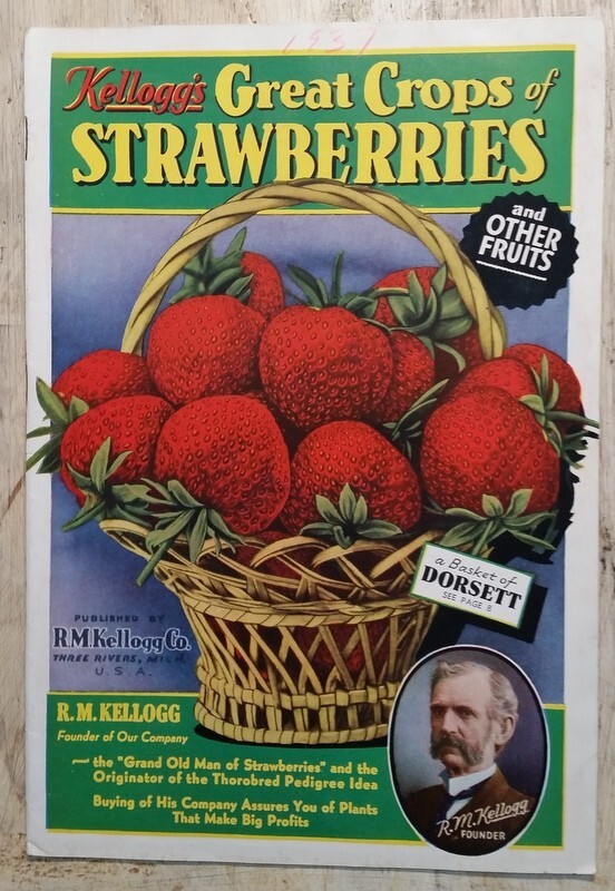 1937 Kellogg’s Strawberries and Garden Fruits Catalog Three Rivers MI Michigan
