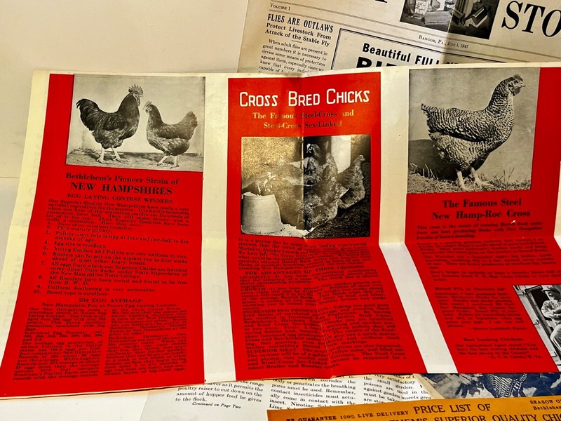 Group Vtg Antique Farm Poultry Chicken Magazines catalog gallery