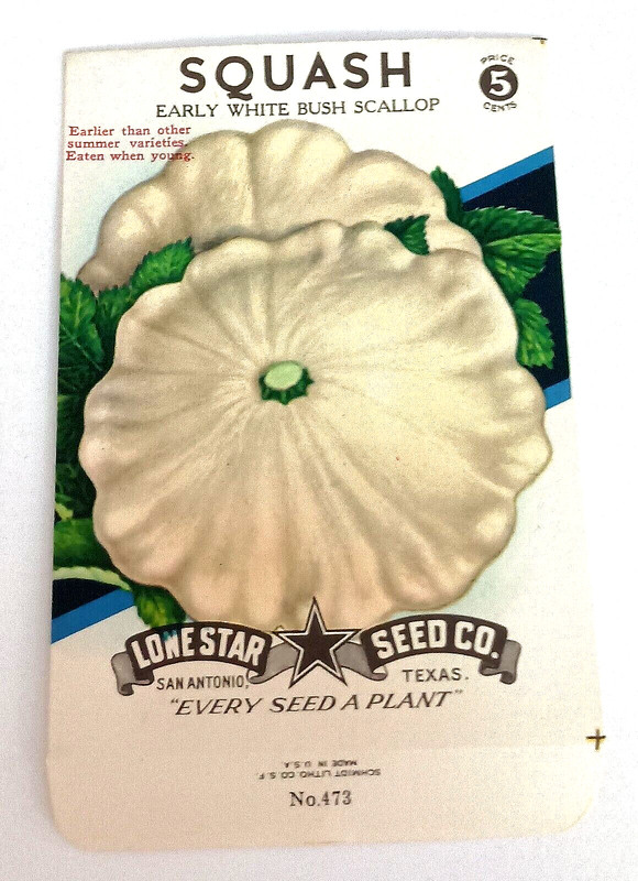 Vtg White Squash Lone Star Co. Seed Litho Packet NOS New 1950s San Antonio TX
