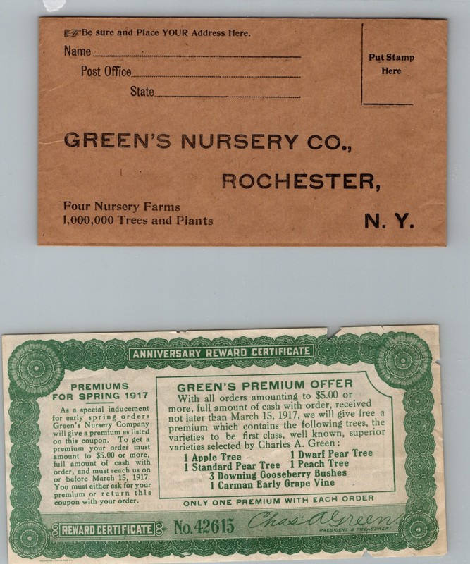 1917 Green’s Nursery Co. Rochester New York Reward Coupon Advertisement Mail