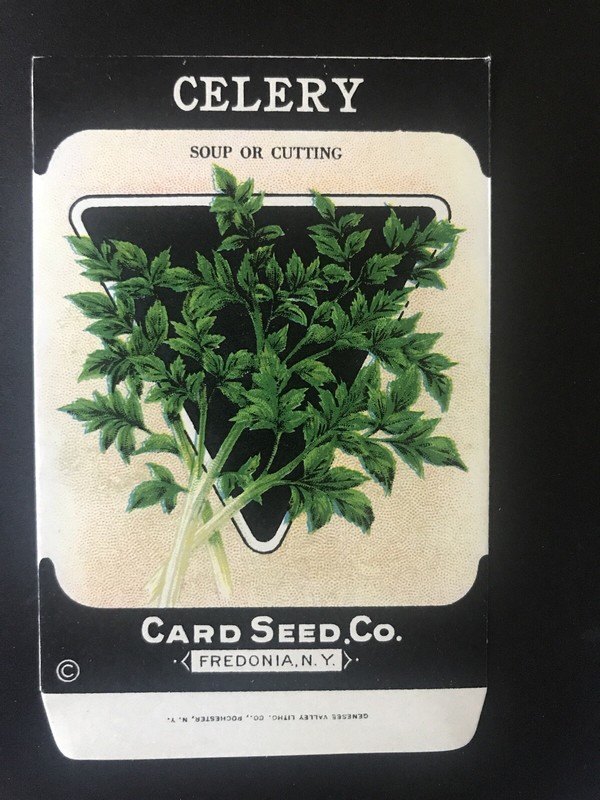 1920s Litho Antique Vintage Card Seed Co. Packet Pack Celery soup for cutting