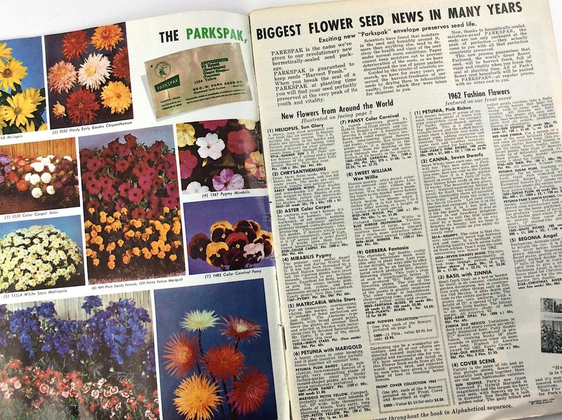 Parks Flower Book 1962 Greenwood South Carolina Garden Seed Catalog Q364 gallery