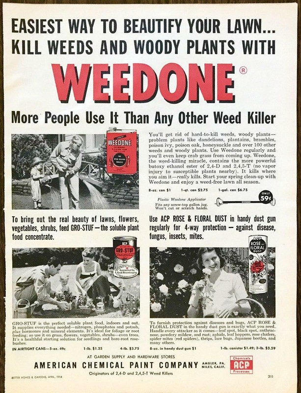 1954 Weedone Weed Killer PRINT AD Easiest Way to Beautify Your Lawn