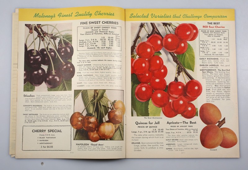 Vintage 1947 Maloney Nursery Fruit and Flower Book Catalog Dansville New York gallery