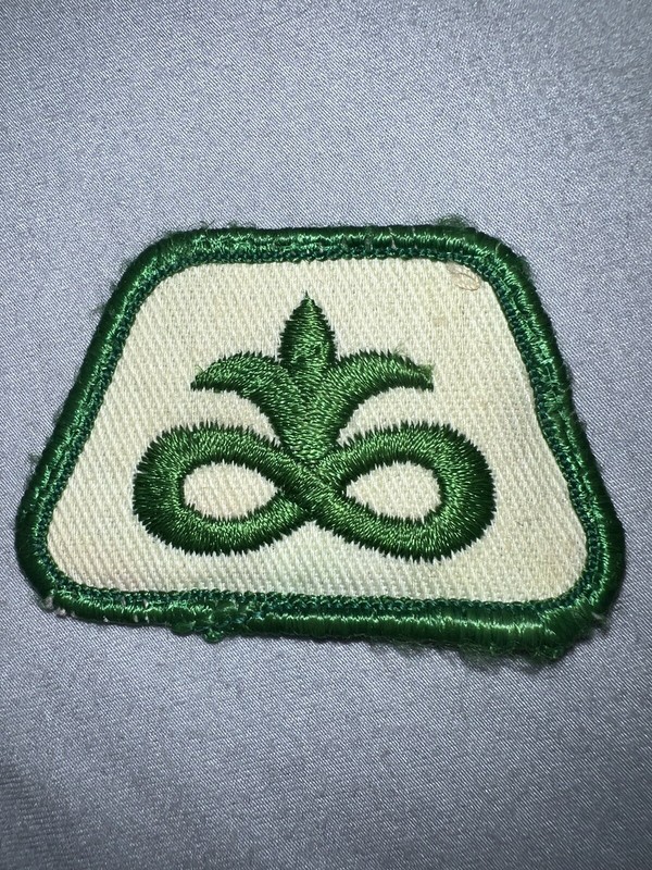 Vintage Collectible Pioneer Brand Seed Logo Sew On Patch