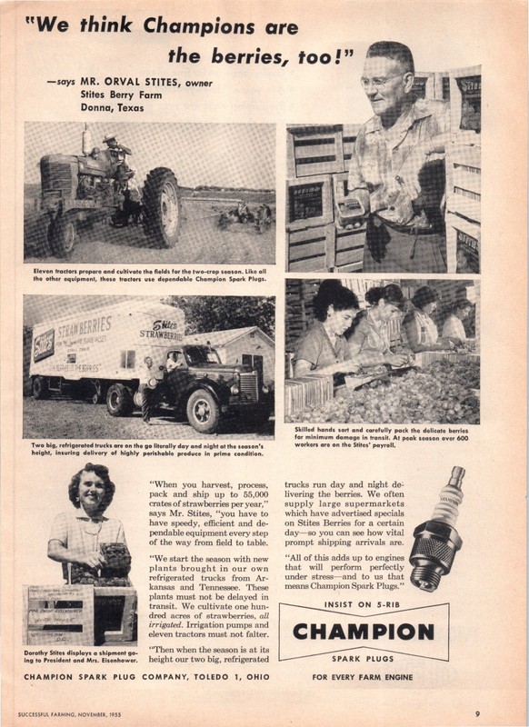 1955 Stiles Berry Farm Texas Strawberries Champion Spark Plugs 50’s Print Ad