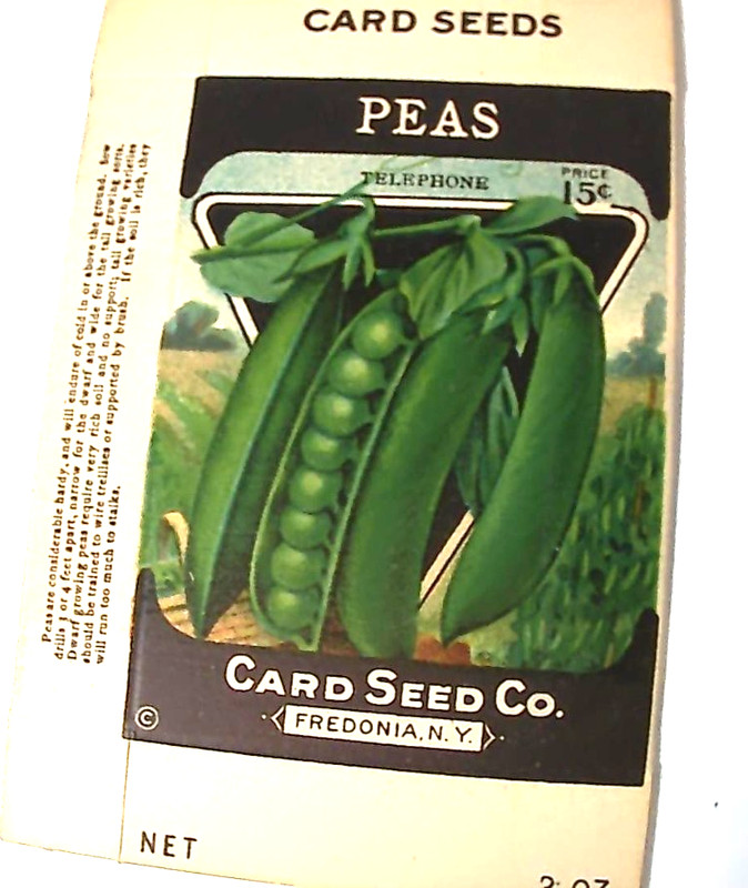 VINTAGE 3 SEED BOXES FROM THE CARD SEED CO. FREDONIA,N.Y. gallery