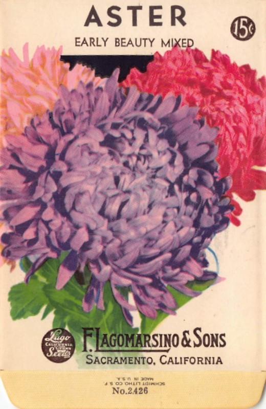 Vintage Seed Packet: Mixed ASTER, Lagomarsino & Sons, Sacramento, 1940’s