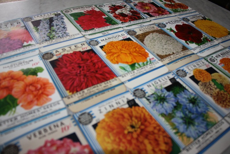 New Find! 18 Vintage 1934 "Better Homes" Flower Seed Packets Crosman Seed Co. gallery