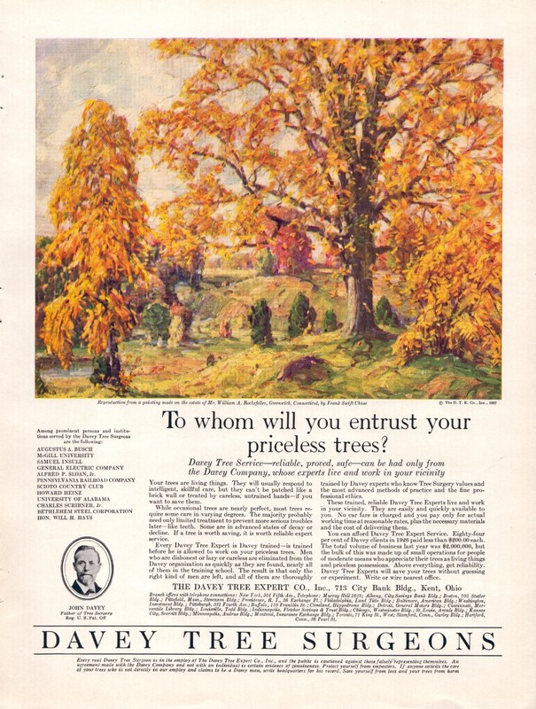 1927 Davey Tree Surgeons Autumn Connecticut Ephemera Vintage 20’s Print Ad
