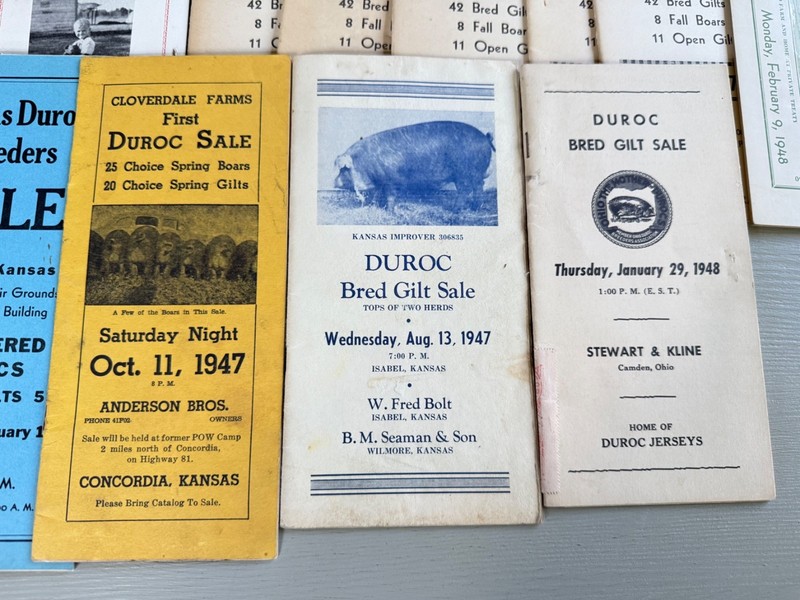 Mixed Lot of 34 Vintage Duroc Pig Hog Auction Sale Brochure Advertising KS NE CO gallery