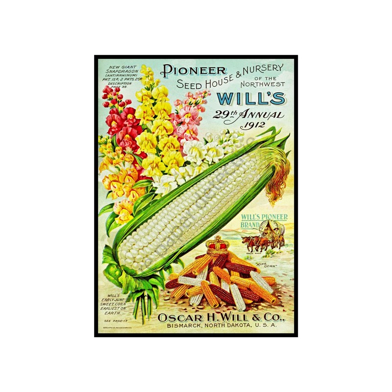 Garden Decor, Antique Seed Pack Style 5″ x 7″ Print, Gardening Gift REPRODUCTION