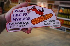 HAGIES HYBRID SEED CORN PLATE TOPPER PORCELAIN METAL SIGN FEED FARM BARN COW GAS