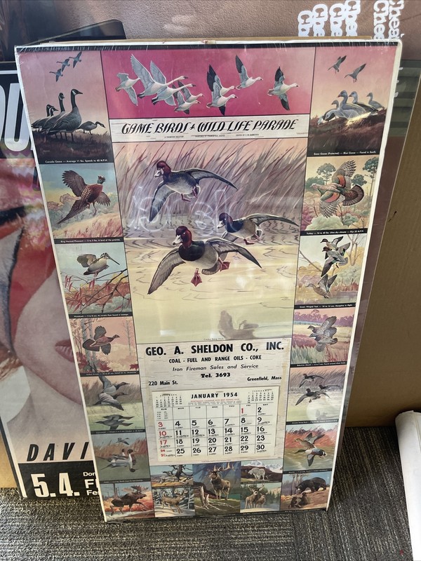 Rare VTG Geo Sheldon Coal Coke Fuel Greenfield MA 1954 Calendar Game Birds
