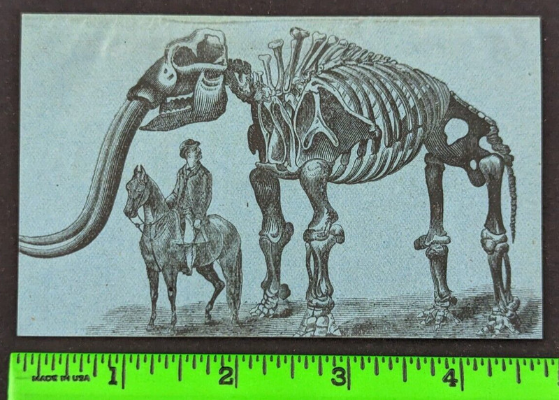 1883 Guano Fertilizer Analysis Mammoth Bones 24 Pg Advertising Booklet Baltimore