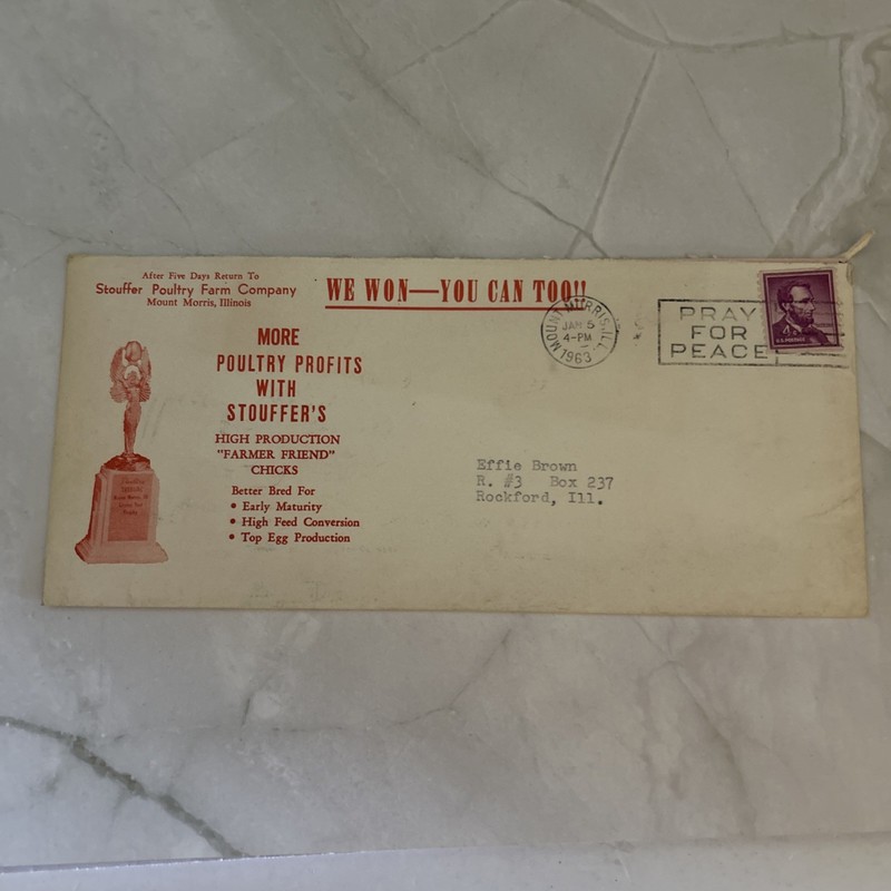 1963 Stouffer Poultry Farm Mount Morris Illinois Order Form Baby Chicks F