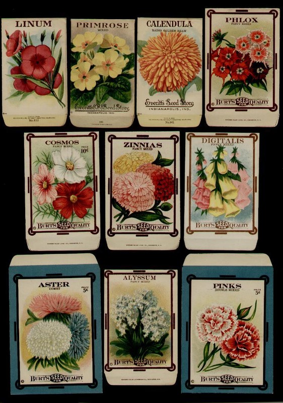 1910’s ORIGINAL USPS FOREVER STAMPS SET OF THE 10 SEED PACKETS USED FOR STAMPS