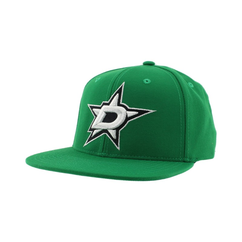 Dallas Stars NHL Z11 Icon Flat Bill Adjustable Snapback Hat – Officially License