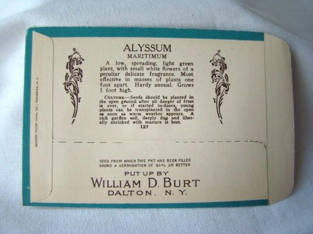 Antique ALYSSUM 'BURT'S SEED' Flower Seed PACKET, Country Store, Unused gallery