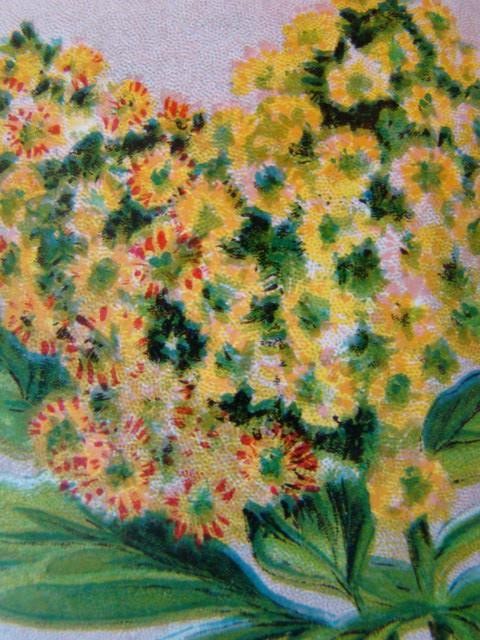 Antique MIGNONETTE 'BURT'S SEED' Flower Seed PACKET, Country Store, Unused gallery