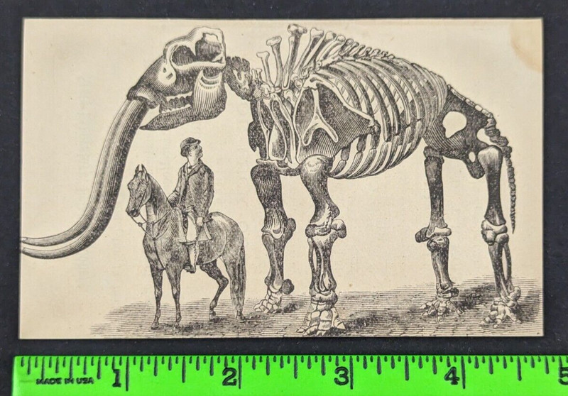 1883 Guano Fertilizer Analysis Mammoth Bones 24 Pg Advertising Booklet Baltimore