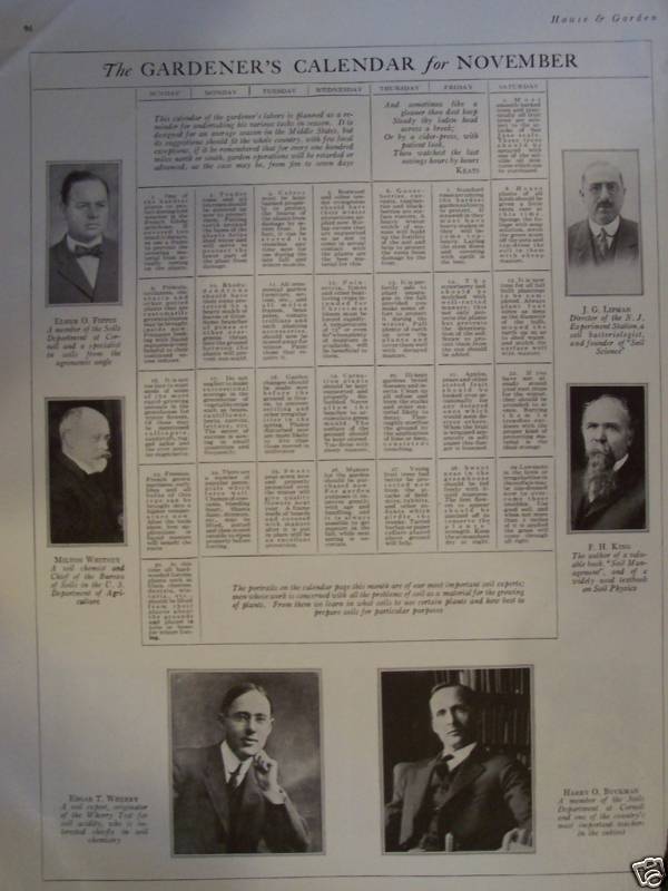 Nov 1924 Original Gardener's Calendar Soil Experts