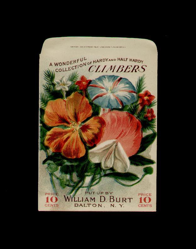 1910’s WILLIAM D. BURT CLIMBERS LITHO. SEED PACKET 10 CENTS ~RARE~ ANTIQUE