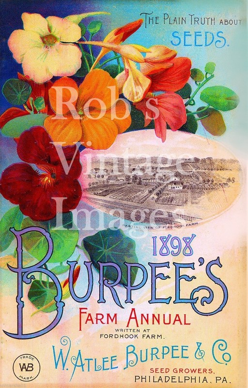 1898 Burpees Vintage Farm Ann Garden Flower Seed Catalogue Poster Art Print