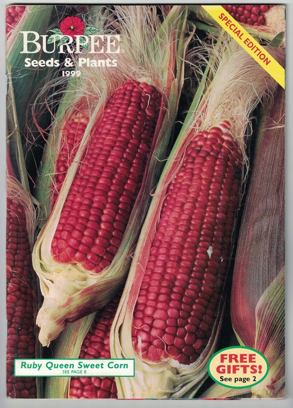 1999 Burpee Seeds & Plants Catalog Burpee’s Seeds Flowers Vegetables