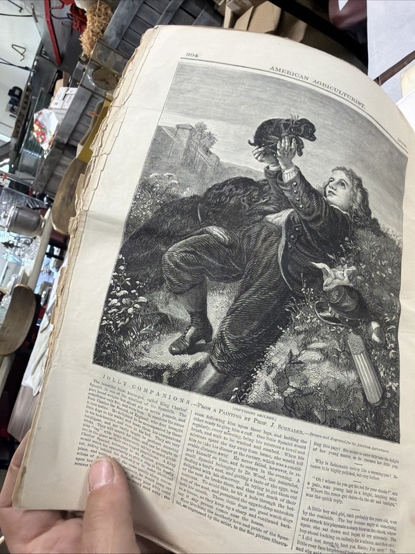 1869 American AGRICULTURIST August 186Original Paper, string binding FARMING USA gallery
