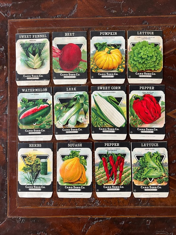 Vintage Unused Seed Packets 12 total (from the Card Seed Co) 1940s-1950s