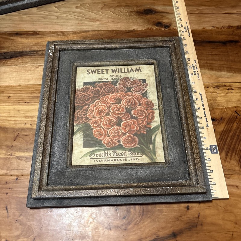1930’s Sweet WilliamFLOWER SEED PACKET – EVERITT’S SEED, INDIANAPOLIS,IND