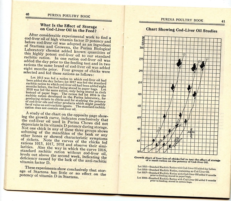 1928 Purina Poultry Book 17th Ed Ralston Purina Farm Feed Advertising Chicken gallery