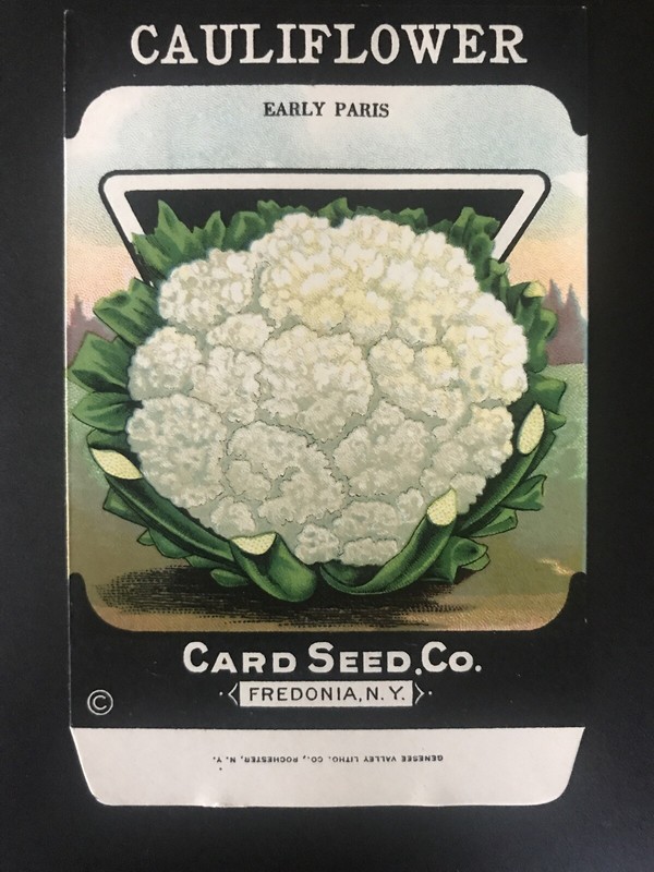 1920s Litho Antique Vintage Card Seed Co. Seed Packets Packs Cauliflower early
