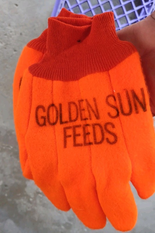 Vtg Golden Sun Feeds Farm Work Gloves Hunter Orange Chores Medium Large Cloth