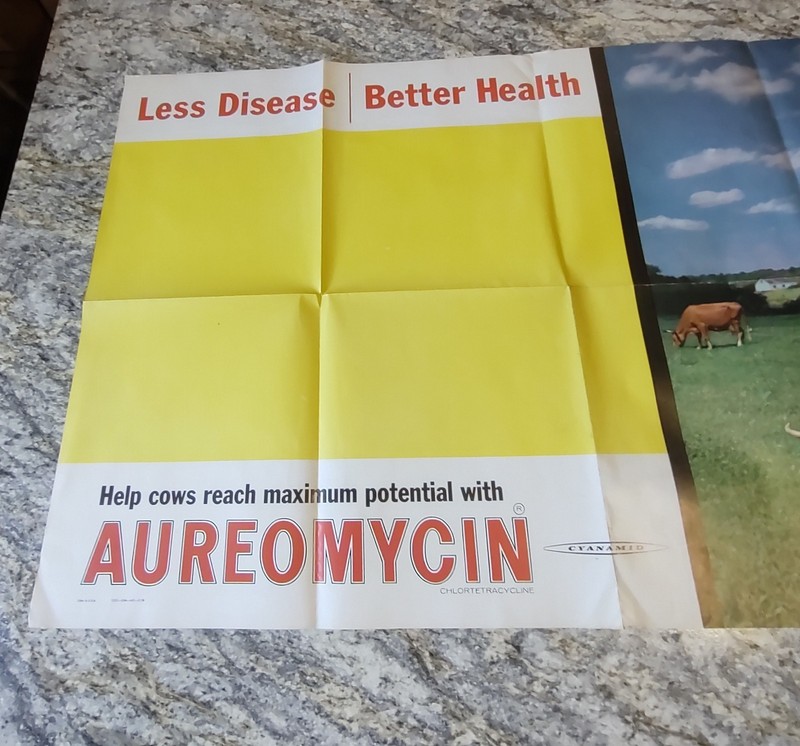 Vintage Advertising Cattle Aureomycin Cynamid Farm Cow Poster #1222-25M-AO-3/58 gallery