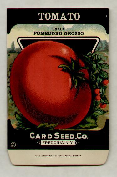 1920’s LITHO CARD CO. RED POMEDORO TOMATO SEED PACKET