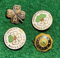 4 Vintage 4-H Achievement & Leadership Pins , Lot of 4 different