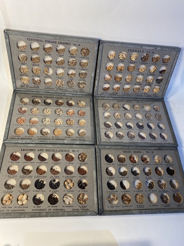 Framed Saved Seeds University of Nebraska, Lincoln 6 Panels With 144 Varieties