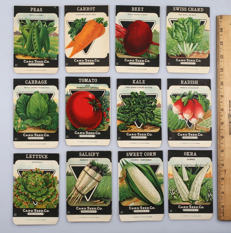 Lot 12 Card Seed Co. Envelopes Beet Carrot Peas Salsify Radish Okra Fredonia NY